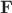 $\bold F$