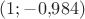 $(1;-0{,}984)$