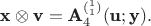 $$\textbf x\otimes \textbf v=\textbf A_4^{(_1^1)}(\textbf u; \textbf y).$$ $$\textbf x\otimes \textbf v=\textbf A_4^{(_1^1)}(\textbf u; \textbf y).$$