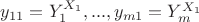 $y_{11}=Y_1^{X_1},..., y_{m1}=Y_m^{X_1}$