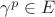 $\gamma^p \in E$