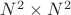 $N^2 \times N^2$