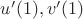 $u'(1),v'(1)$