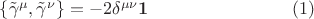 $\left\{\tilde{\gamma}^\mu,\tilde{\gamma}^\nu\right\}=-2\delta^{\mu\nu}{\bf 1}\qquad\qquad\qquad\qquad(1)$
