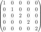 $$\begin{pmatrix} 1 & 0 & 0 & 0 & 0\\
  0 & 1 & 0 & 0 & 0\\
  0 & 0 & 2 & 0 & 0\\
  0 & 0 & 0 & 2 & 0\\
  0 & 0 & 0 & 0 & 2
\end{pmatrix}$$