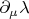 $\partial_{\mu}\lambda$