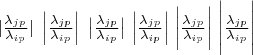 $|\frac {\lambda_{jp}}{\lambda_{ip}}|\;\left|\frac {\lambda_{jp}}{\lambda_{ip}}\right|\;\big|\frac {\lambda_{jp}}{\lambda_{ip}}\big|\;\Big|\frac {\lambda_{jp}}{\lambda_{ip}}\Big|\;\bigg|\frac {\lambda_{jp}}{\lambda_{ip}}\bigg|\;\Bigg|\frac {\lambda_{jp}}{\lambda_{ip}}\Bigg|$