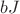 $bJ$