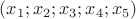 $(x_1;x_2;x_3;x_4;x_5)$