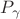 $P_{\gamma}$