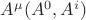 ${A^&micro;}{(A^0,A^i)}$