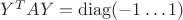 $Y^TAY=\operatorname{diag}(-1&hellip; 1)$