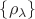 $\{\rho_\lambda\}$