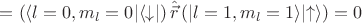 $=\left(\langle l=0,m_l=0\rvert\langle\downarrow\rvert\right)\hat{\vec{r}}\left(\lvert l=1,m_l=1 \rangle\lvert\uparrow\rangle\right) =0$