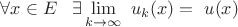 $\forall x\in E \;\;\;\exists\displaystyle\lim_{k \rightarrow \infty} \ {u_k}(x)=\ {u}(x)$