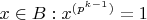 $x \in B: x^{(p^{k-1})}=1$