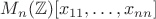 $M_n(\mathbb Z)[x_{11},\dots,x_{nn}]$