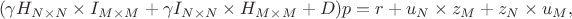 $$(\gamma H_{N \times N} \times I_{M \times M} + \gamma I_{N \times N} \times H_{M \times M} + D) p = r + u_N \times z_M + z_N \times u_M,$$