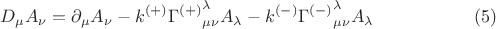 $$
D_{\mu} A_{\nu} = \partial_{\mu} A_{\nu} - k^{(+)} {\Gamma^{(+)}}^{\lambda}_{\mu \nu} A_{\lambda} - k^{(-)} {\Gamma^{(-)}}^{\lambda}_{\mu \nu} A_{\lambda}  \eqno(5)
$$