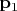 $\mathbf{p}_{1}$
