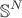 $$\mathbb{S}^N$$