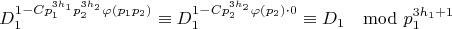$$D_1^{1-Cp_1^{3h_1}p_2^{3h_2}\varphi (p_1p_2)}\equiv D_1^{1-Cp_2^{3h_2}\varphi (p_2)\cdot 0}\equiv D_1\mod p_1^{3h_1+1}$$