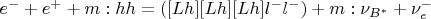 $e^- + e^+ + m:hh = ([Lh][Lh][Lh]l^-l^-) + m:\nu_{B^*} + \nu_e^-$