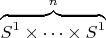 $\overbrace{S^1\times\cdots\times S^1}^{n}$