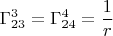 $$ \Gamma^{3}_{23} = \Gamma^{4}_{24} = \frac{1}{r} $$