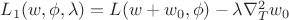 $L_{1} (w,\phi,\lambda)=L(w+w_{0},\phi)-\lambda \nabla ^{2}_{T} w_{0}$