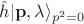 $\hat {h}|\mathbf {p}, \lambda \rangle_{p^{2} = 0}$