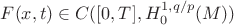 $F(x,t) \in C([0,T],H^{1,q/p}_0(M))$