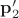 $\mathbf p'_2$