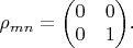 $\rho_{mn}=\begin{pmatrix}
0 & 0 \\
0 & 1 \\
\end{pmatrix}$.