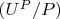 $(U^P/P)$