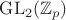 $\operatorname{GL}_2(\mathbb{Z}_p)$
