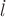 $\dot l$