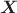$\boldsymbol{X}