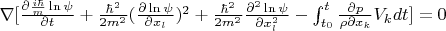 $\nabla[\frac{\partial \frac{i \hbar}{m} \ln\psi}{\partial t}+\frac{ \hbar^2}{2m^2}(\frac{\partial \ln\psi}{\partial x_l})^2 +\frac{\hbar^2}{2m^2} \frac{\partial^2 \ln \psi}{\partial x_l^2}-\int_{t_0}^t \frac{\partial p}{\rho \partial x_k}V_k dt]=0$