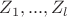 $Z_1, ..., Z_l$