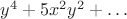 $y^4+5x^2y^2+\ldots$