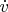 $\dot{v}$