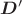 $ \boldsymbol{D}' $