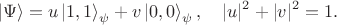 $$
\left| \Psi \right\rangle = u \left| 1, 1 \right\rangle_{\psi} + v \left| 0, 0 \right\rangle_{\psi}, 
\quad
|u|^2 + |v|^2 = 1.
$$