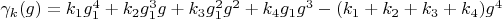 $\gamma_k(g)=k_1 g_1^4+k_2 g_1^3 g+k_3 g_1^2 g^2+k_4 g_1 g^3-(k_1+k_2+k_3+k_4) g^4$