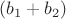 $(b_1 + b_2)$