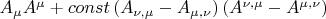$A_\mu  A^\mu + const \left( {A_{\nu ,\mu }  - A_{\mu ,\nu } } \right)\left( {A^{\nu ,\mu }  - A^{\mu ,\nu } } \right)$