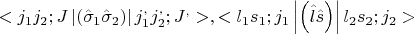$<j_1j_2;J \left| \left( \hat\sigma_1 \hat\sigma_2 \right) \right| j_1^,j_2^,;J^,> , <l_1s_1;j_1 \left| \left( \hat{l} \hat{s} \right) \right|l_2s_2;j_2>$