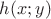 $h(x;y)$