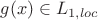 $g(x)\in L_{1,loc}$